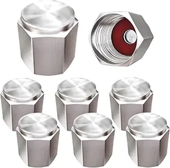 Brass Tire Valve Caps (8 Pack) - Silver