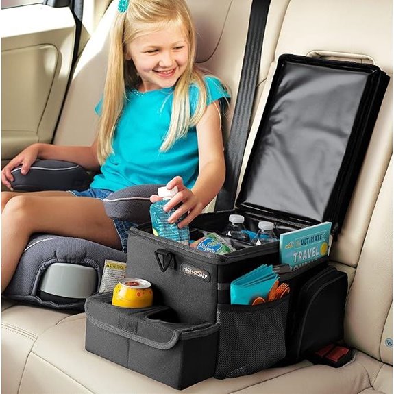 High Road CarHop Backseat Organizer for Kids and Adults