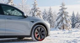 top snow socks for evs