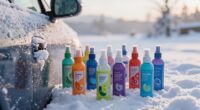 winter lock deicer reviews