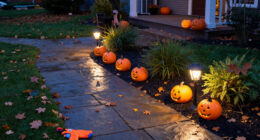 15 Best Solar Halloween Pathway Lights for Spooky Outdoor Displays in 2027